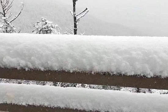 成都迎今年第一場(chǎng)雪 西嶺雪山日月坪銀裝素裹