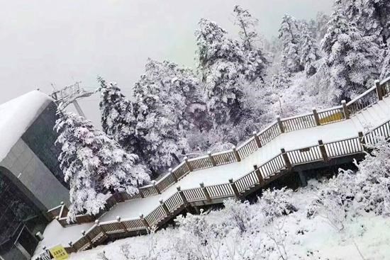 成都迎今年第一場(chǎng)雪 西嶺雪山日月坪銀裝素裹