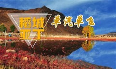 稻城亞丁、新都橋純玩五日游-單汽單飛